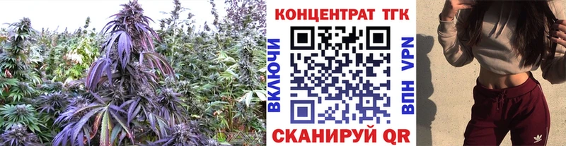 ТГК жижа  сайты даркнета официальный сайт  Почеп 