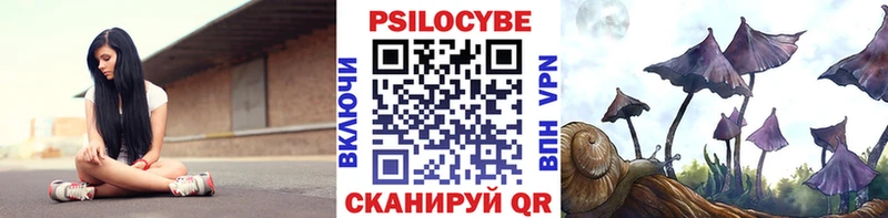 кракен вход  Почеп  Псилоцибиновые грибы прущие грибы  магазин   